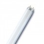 Catégorie Tubes T8 diam 26mm