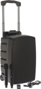TR12-BT ALGAM AUDIO - Enceinte trolley 12