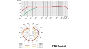 P AKG - Microphone de studio statique cardioïde à directivité variable 155 dB SPL