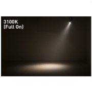 Saber Spot DTW ADJ projecteur led 15W Blanc chaud variable 1900-3100K