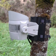 SUP-TREE Hilec - Support de fixation pour arbre ou poteau