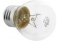 Ampoule sphérique E27 130V 60W claire