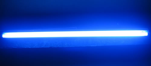 Tube fluo standard sylvania 18W 60cm Bleu