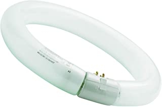 Circline Sylvania 32W T9 BL368 UVA