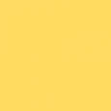 LEE FILTERS 102 feuille Gélatine 122 X 53 cm 102 ambre leger