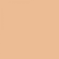 feuille Gélatine 122 X 53 cm abricot 147 LEE FILTERS