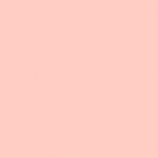 LEE FILTERS 151 feuille Gélatine 122 X 53 cm doré gold tint 151