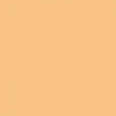 LEE FILTERS 204 feuille Gélatine 122 X 53 cm Full C.T Orange 204