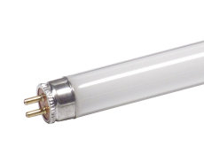 Tube fluo T5 PHILIPS MASTER TL5 HO 49W 840 145cm blanc brillant code 63956155