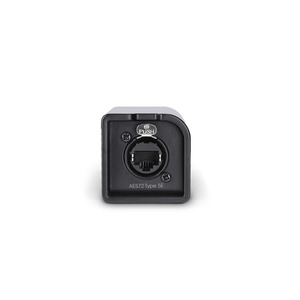 Palmer AoC Loom TRSm - Coupleur RJ45 vers 4 Jack mâles TRS