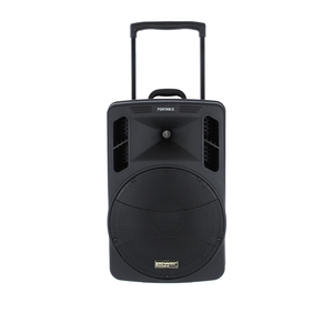 BE 9412 V2 Power Acoustics - enceinte autonome avec lecteur CD MP3 SD USB DIVX Bluetooth et 2 micro mains sans fil UHF