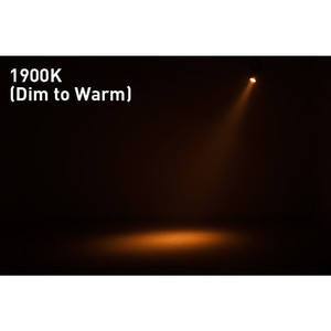 Saber Spot DTW ADJ projecteur led 15W Blanc chaud variable 1900-3100K
