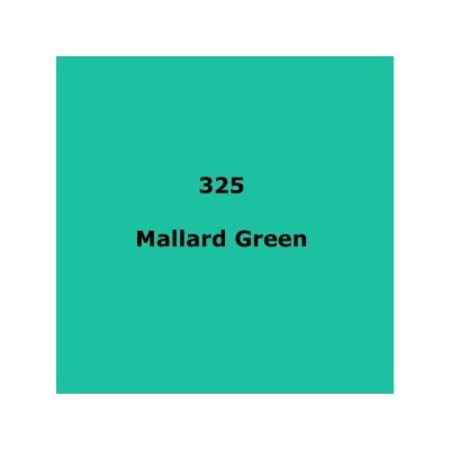Image principale du produit feuille Gélatine 122 X 53 cm Mallard Green 325 LEE FILTERS