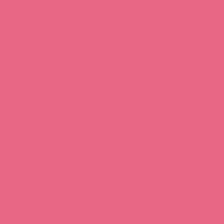Image principale du produit feuille Gélatine 122 X 53 cm 748 Seedy pink LEE FILTERS